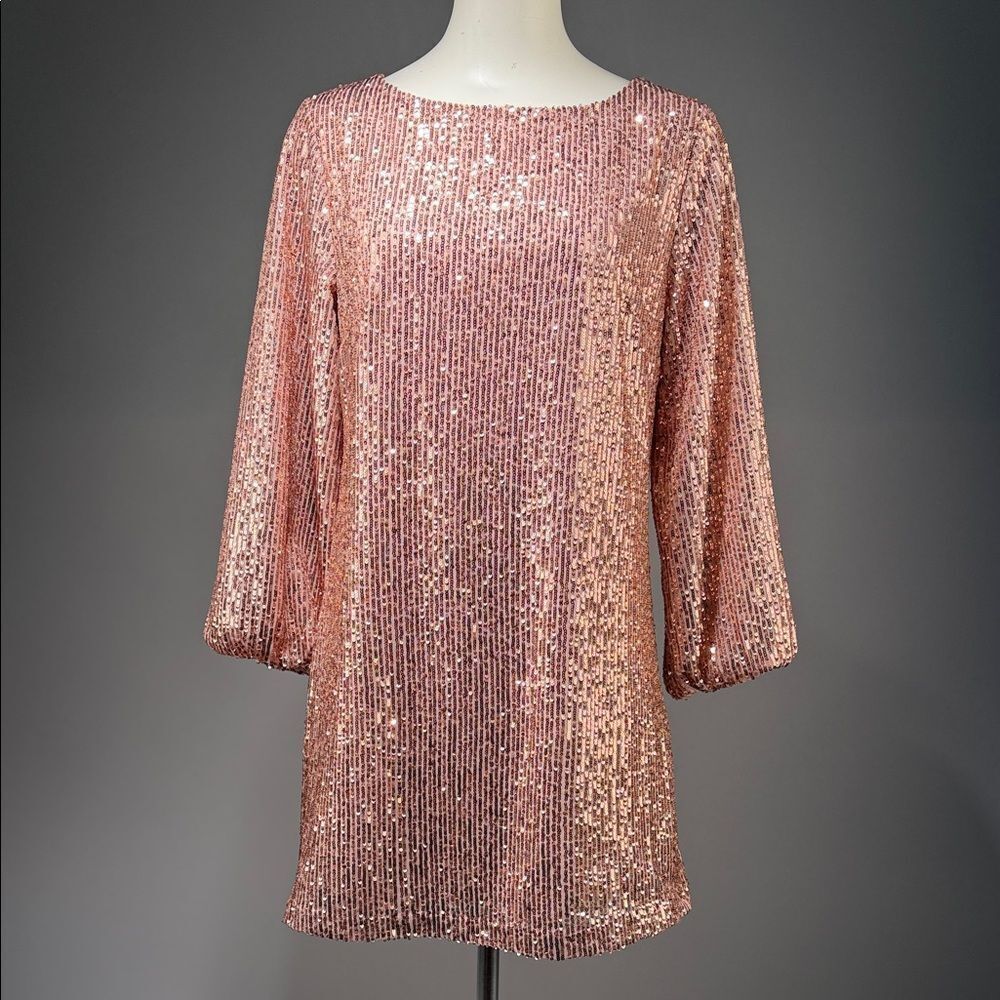 LOFT Blush Pink Sequin dress (rack4)